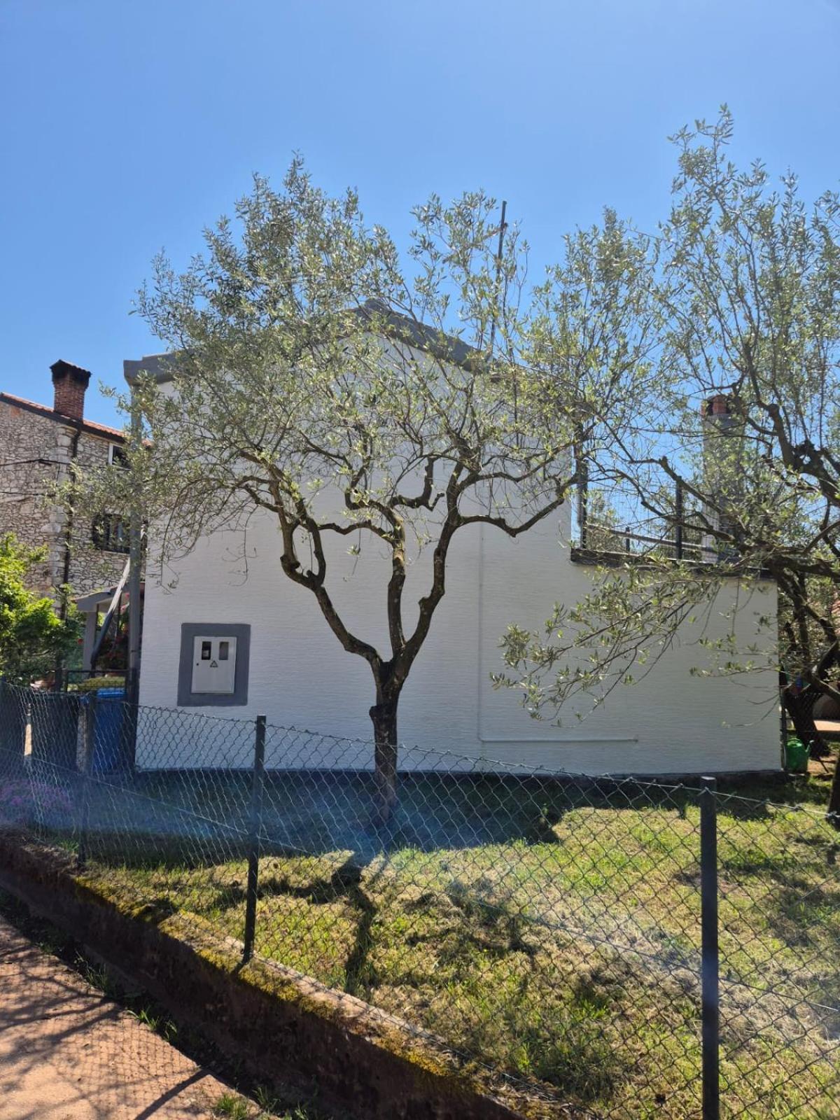 Apartamento Kuca Za Odmor Petra Cepljani Exterior foto